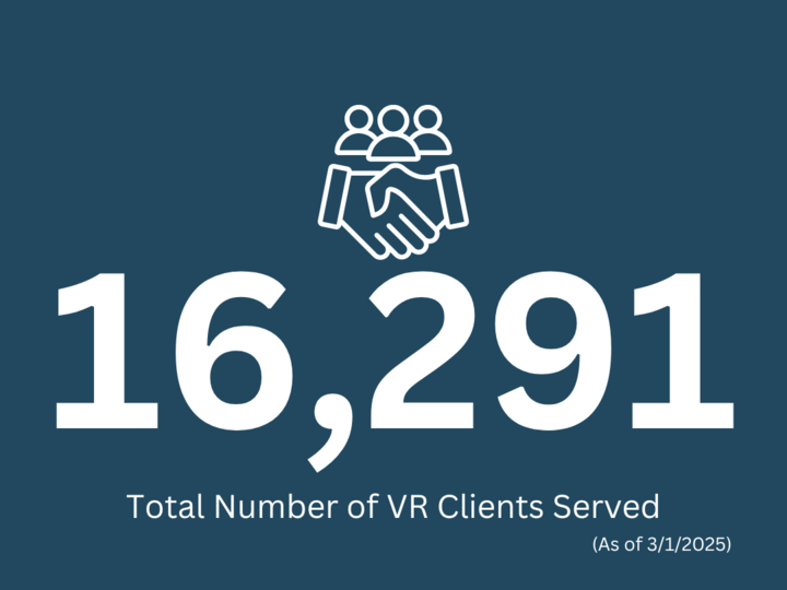 Statistics of the total number of VR Clients Services which is 16,291. 