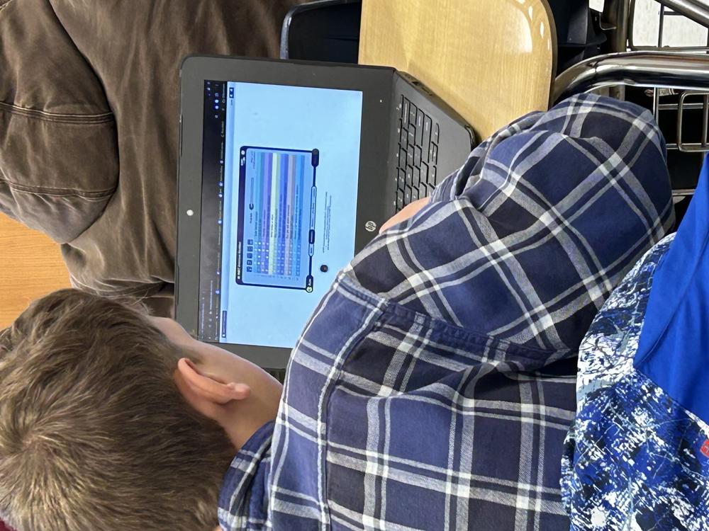 Student at a computer taking an assessment.