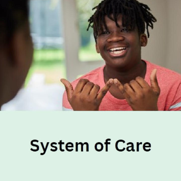 Link to System of Care depicting a man communicating with sign language. Press enter to activate.